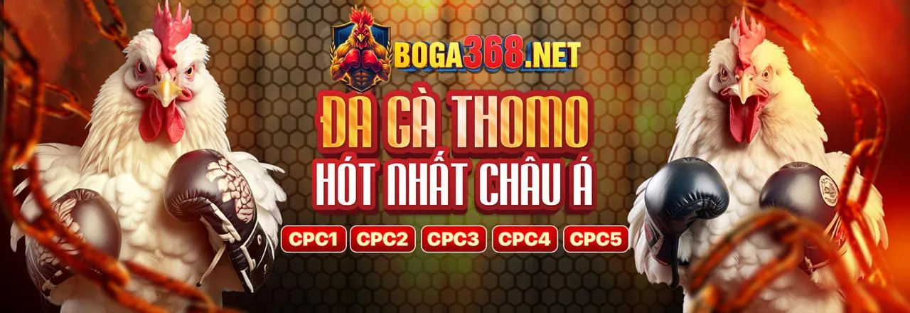 Sân đá gà trực tiếp 68 với không khí sôi động